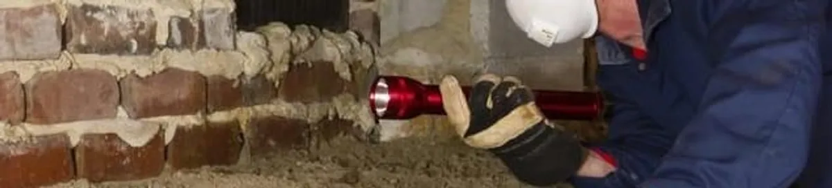 Pest control technician inspecting a crawl space for ant activity and entry points in Richmond, VA