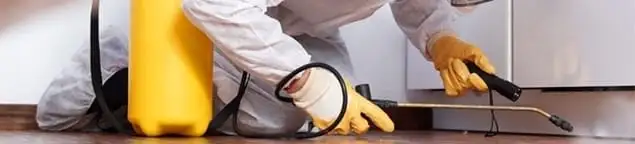 Roach exterminator treating cracks and crevices along kitchen baseboards in Richmond, VA