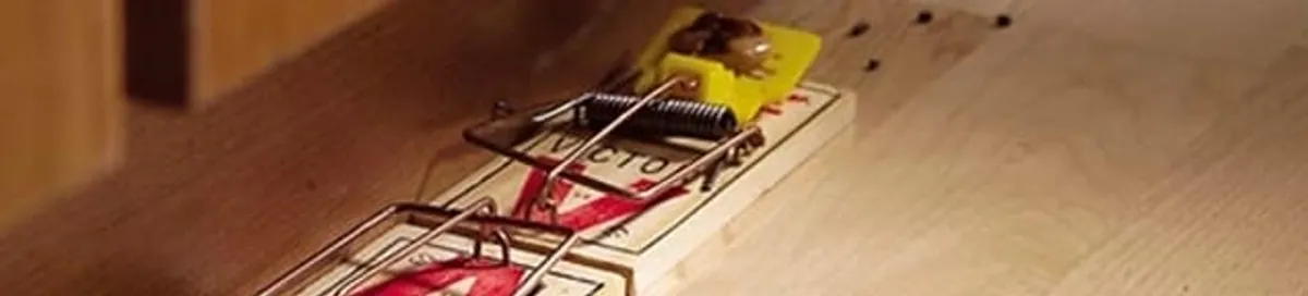 Rodent trap set indoors for rodent control and prevention in Richmond, VA